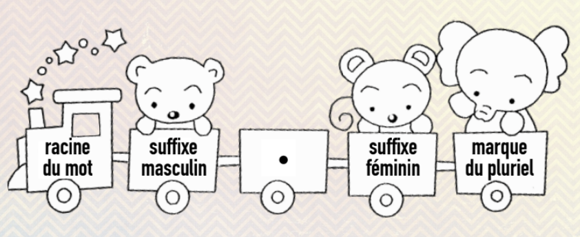 schéma expliquant la structure : racine du mot + suffixe masculin + point médian + suffixe féminin + marque au pluriel